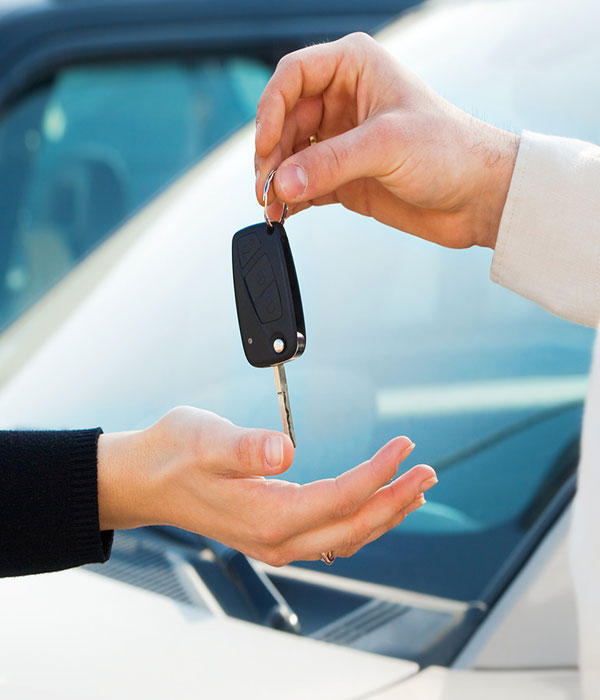 Terms and Conditions images